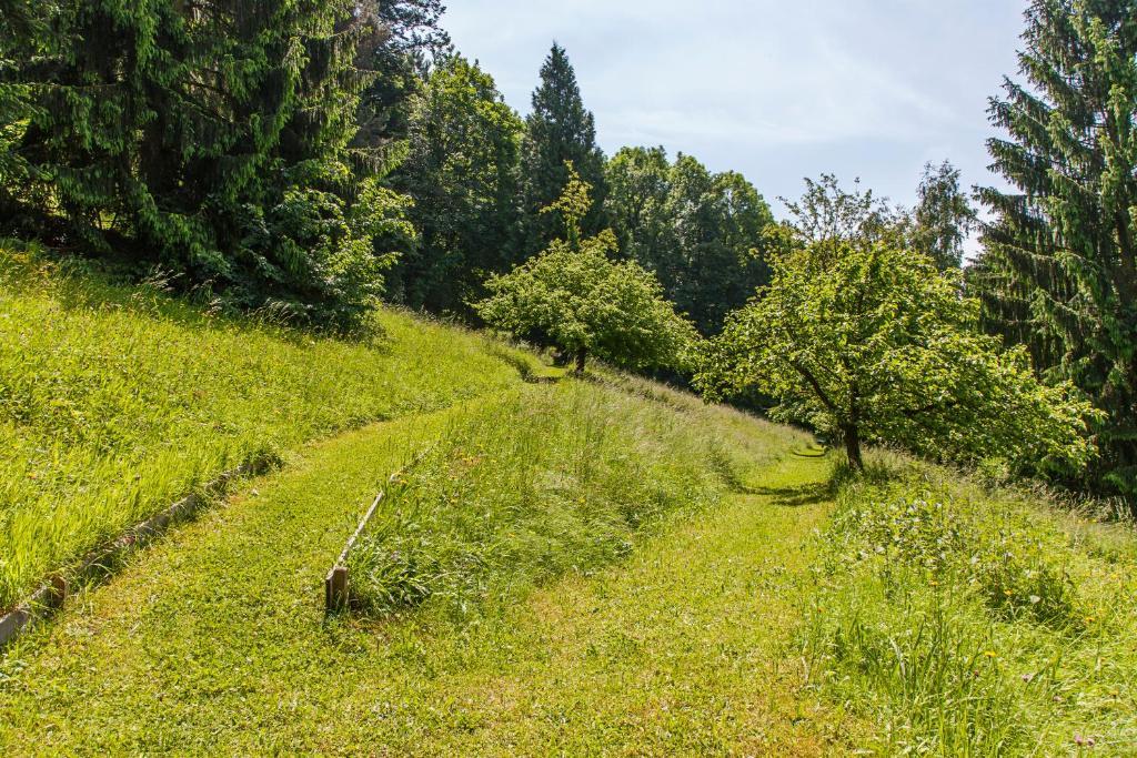 Caritas Tagungszentrum Freiburg im Breisgau Ngoại thất bức ảnh